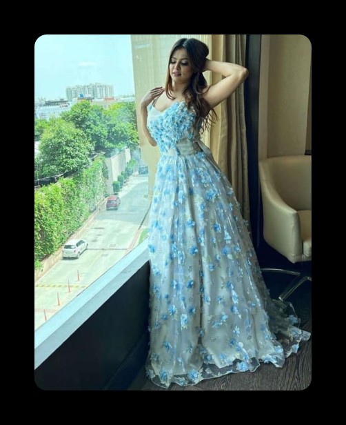 Sky Blue 3D Floral Appliqu� Net Gown